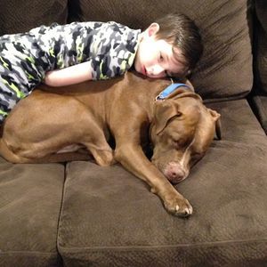 Meet your Posher, Bill